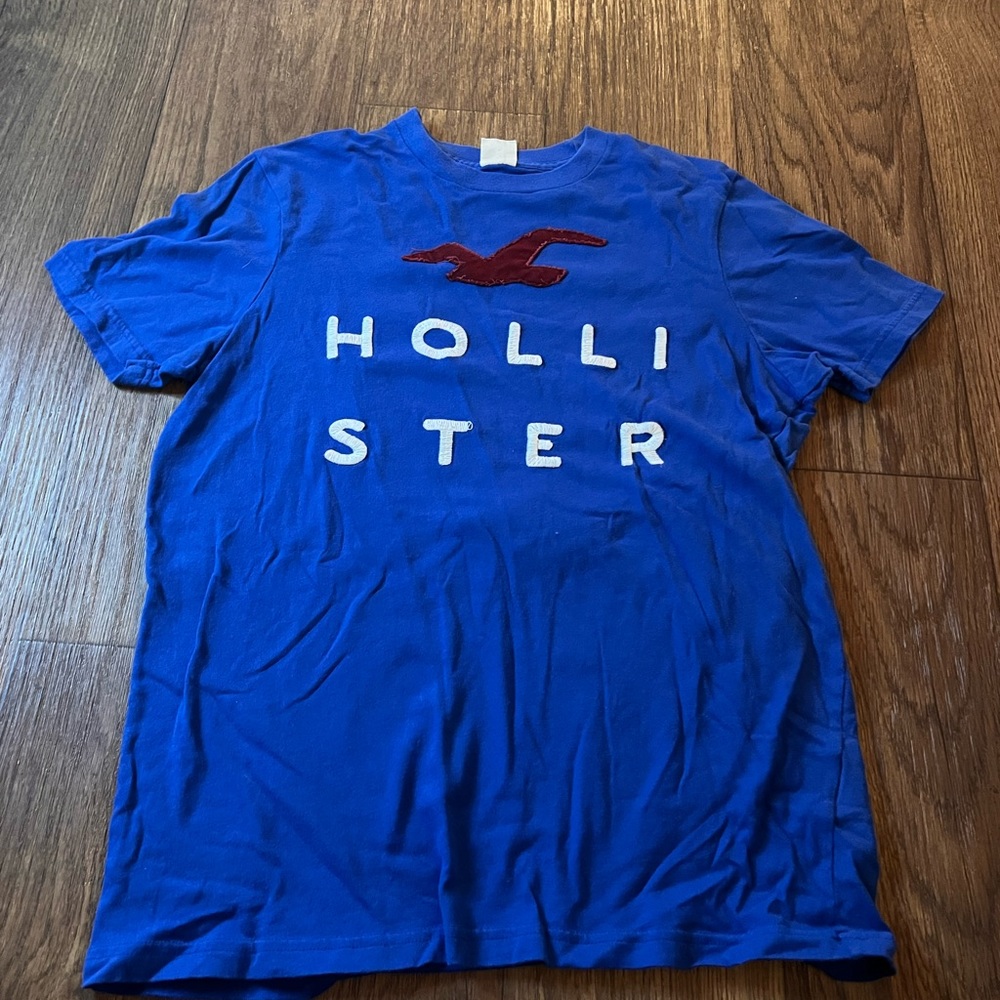 Mens Hollister shirt
